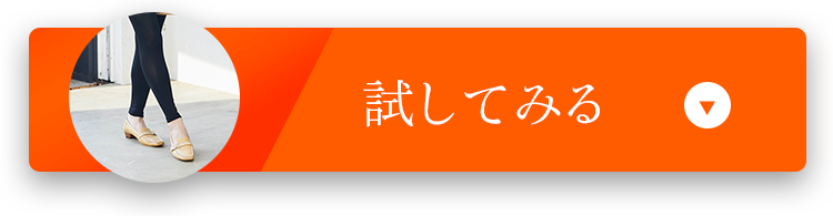 試してみる