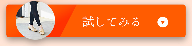 試してみる